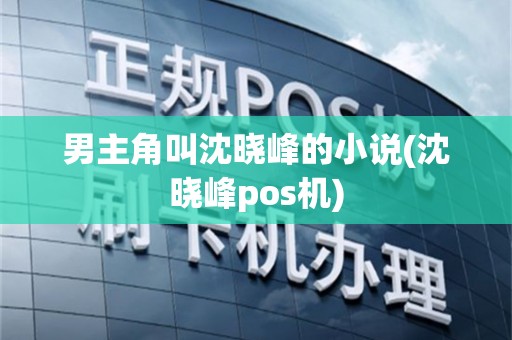男主角叫沈晓峰的小说(沈晓峰pos机)