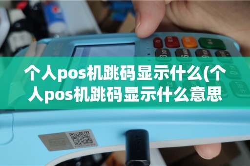 个人pos机跳码显示什么(个人pos机跳码显示什么意思)