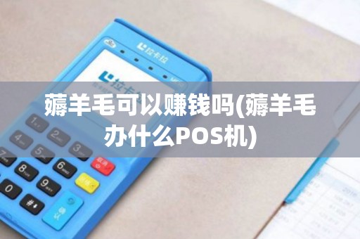 薅羊毛可以赚钱吗(薅羊毛办什么POS机)