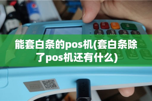 能套白条的pos机(套白条除了pos机还有什么)