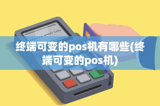 终端可变的pos机有哪些(终端可变的pos机)