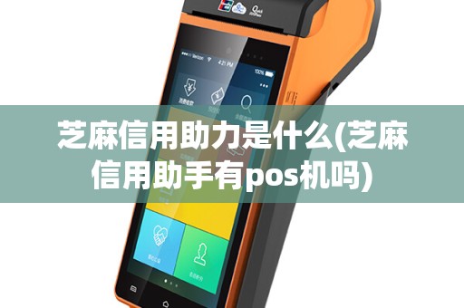 芝麻信用助力是什么(芝麻信用助手有pos机吗)