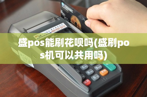 盛pos能刷花呗吗(盛刷pos机可以共用吗)