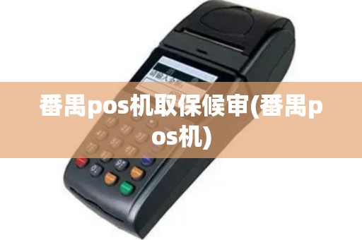 番禺pos机取保候审(番禺pos机)