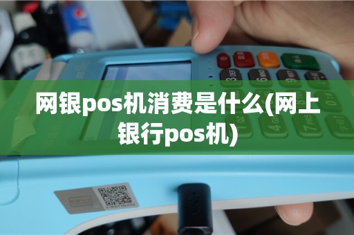 网银pos机消费是什么(网上银行pos机)