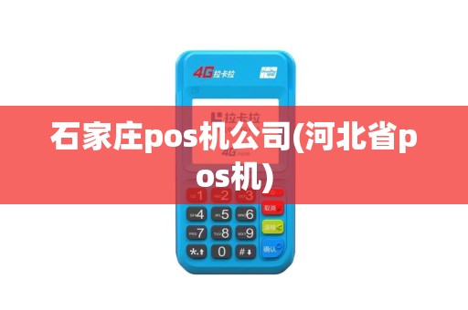 石家庄pos机公司(河北省pos机)