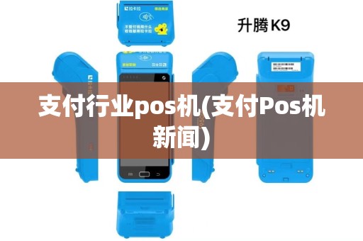 支付行业pos机(支付Pos机新闻)