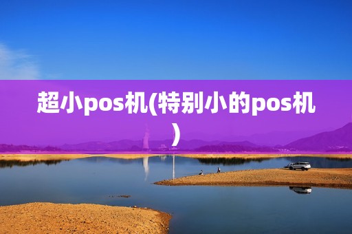 超小pos机(特别小的pos机)