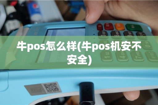 牛pos怎么样(牛pos机安不安全)