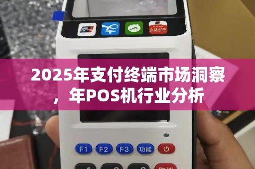 2025年支付终端市场洞察，年POS机行业分析