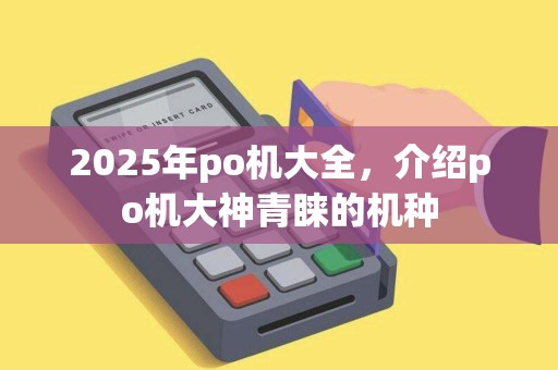 2025年po机大全，介绍po机大神青睐的机种