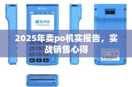 2025年卖po机实报告，实战销售心得