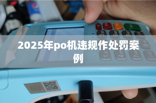 2025年po机违规作处罚案例