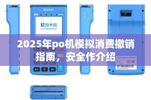 2025年po机模拟消费撤销指南，安全作介绍