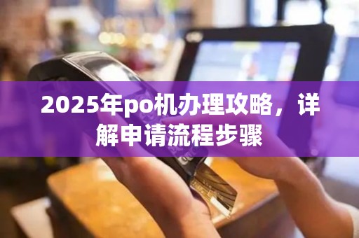 2025年po机办理攻略，详解申请流程步骤