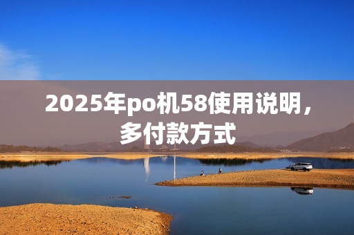 2025年po机58使用说明，多付款方式