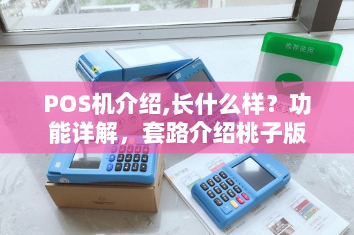 POS机介绍,长什么样？功能详解，套路介绍桃子版