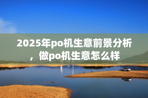 2025年po机生意前景分析，做po机生意怎么样