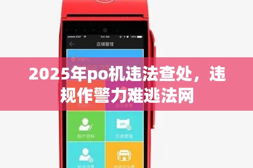 2025年po机违法查处，违规作警力难逃法网
