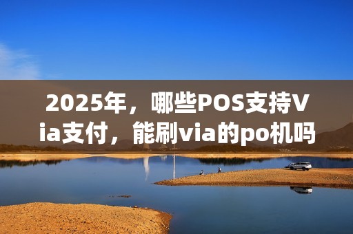 2025年，哪些POS支持Via支付，能刷via的po机吗(刷卡地点)