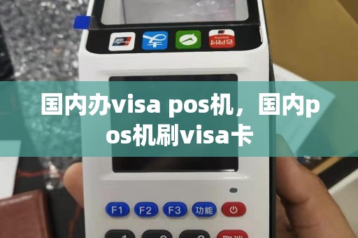 国内办visa pos机，国内pos机刷visa卡
