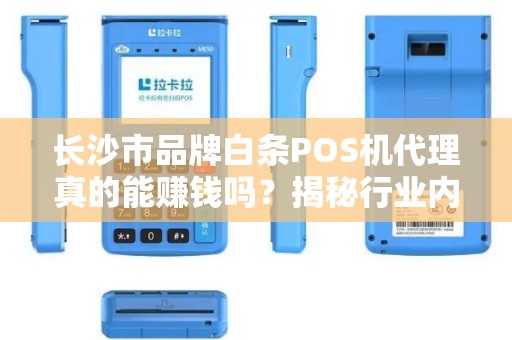 长沙市品牌白条POS机代理真的能赚钱吗？揭秘行业内幕与避坑指南！