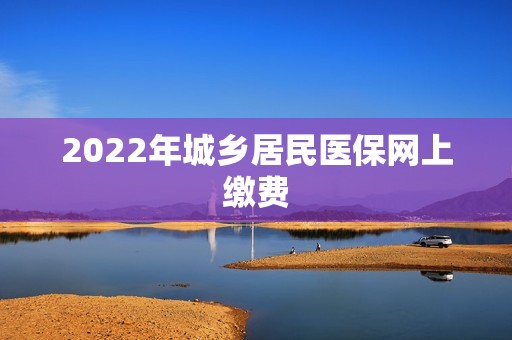 2022年城乡居民医保网上缴费