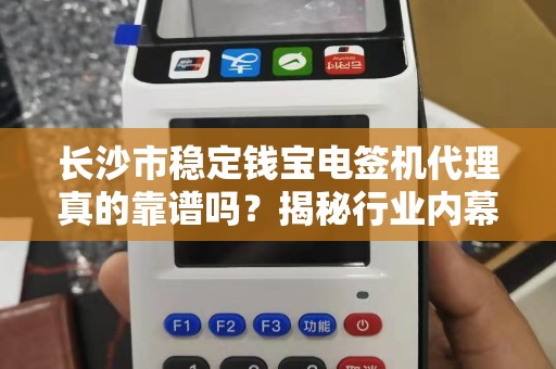 长沙市稳定钱宝电签机代理真的靠谱吗？揭秘行业内幕与避坑指南