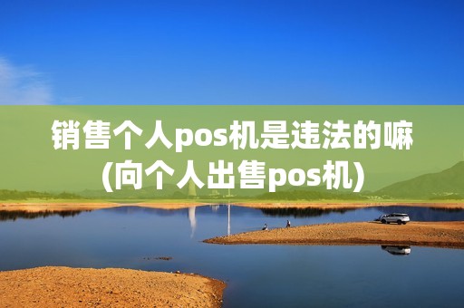 销售个人pos机是违法的嘛(向个人出售pos机)