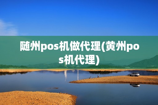 随州pos机做代理(黄州pos机代理)