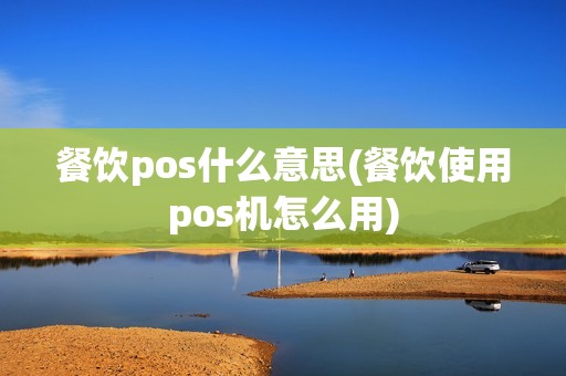 餐饮pos什么意思(餐饮使用pos机怎么用)