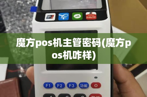魔方pos机主管密码(魔方pos机咋样)