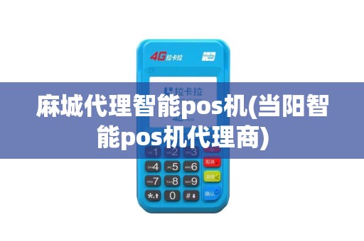 麻城代理智能pos机(当阳智能pos机代理商)