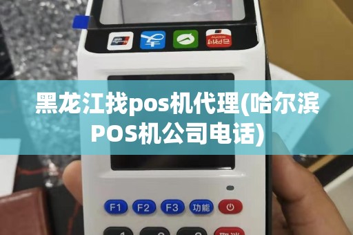 黑龙江找pos机代理(哈尔滨POS机公司电话)