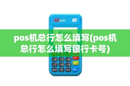 pos机总行怎么填写(pos机总行怎么填写银行卡号)