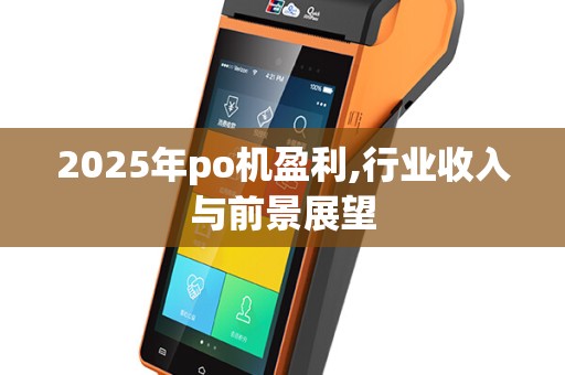 2025年po机盈利,行业收入与前景展望