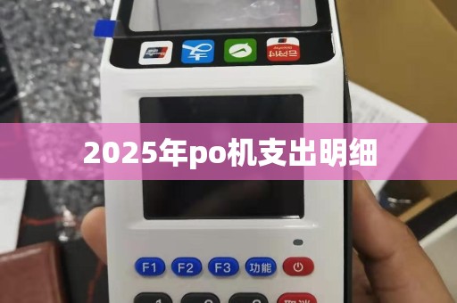 2025年po机支出明细