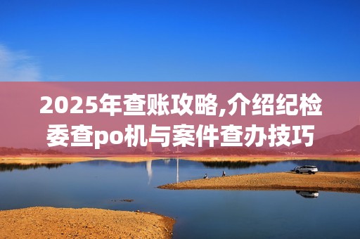 2025年查账攻略,介绍纪检委查po机与案件查办技巧