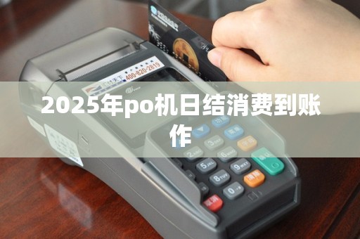 2025年po机日结消费到账作