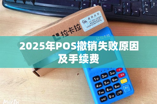 2025年POS撤销失败原因及手续费