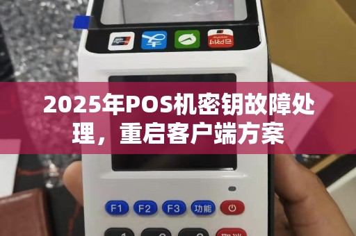2025年POS机密钥故障处理，重启客户端方案