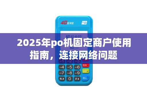 2025年po机固定商户使用指南，连接网络问题