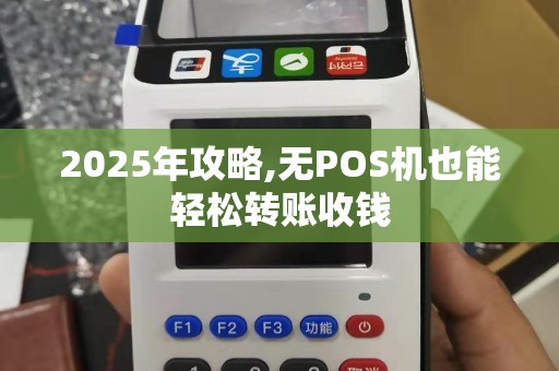 2025年攻略,无POS机也能轻松转账收钱