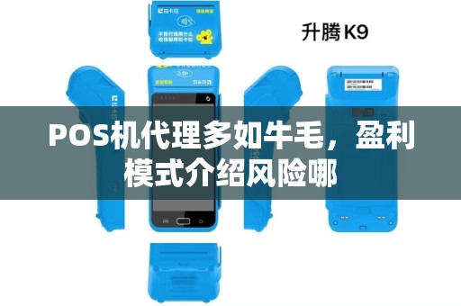 POS机代理多如牛毛，盈利模式介绍风险哪