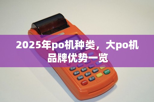 2025年po机种类，大po机品牌优势一览