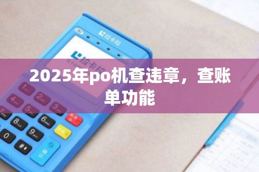 2025年po机查违章，查账单功能