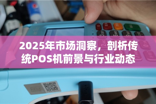 2025年市场洞察，剖析传统POS机前景与行业动态
