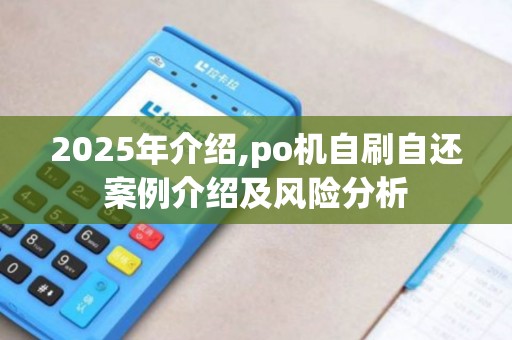 2025年介绍,po机自刷自还案例介绍及风险分析