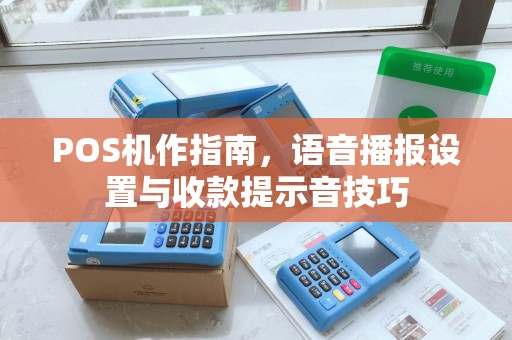 POS机作指南，语音播报设置与收款提示音技巧