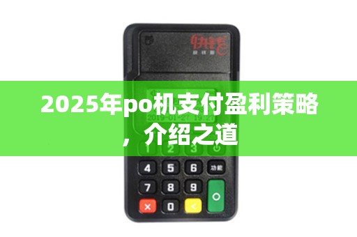 2025年po机支付盈利策略，介绍之道